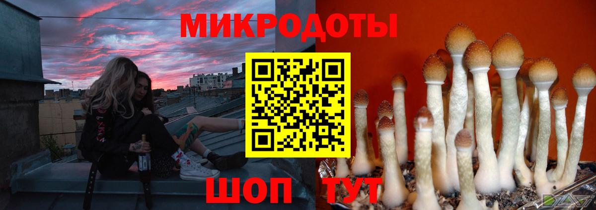 Галлюциногенные грибы ЛСД Печора