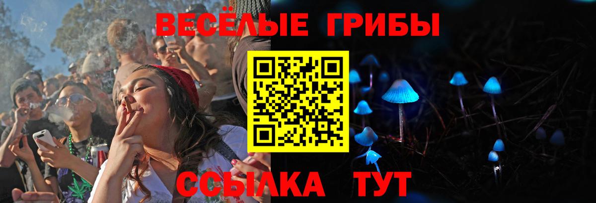 цены   Псилоцибиновые грибы MAGIC MUSHROOMS  Вход с VPN  Галлюциногенные грибы Psilocybine cubensis  Печора 
